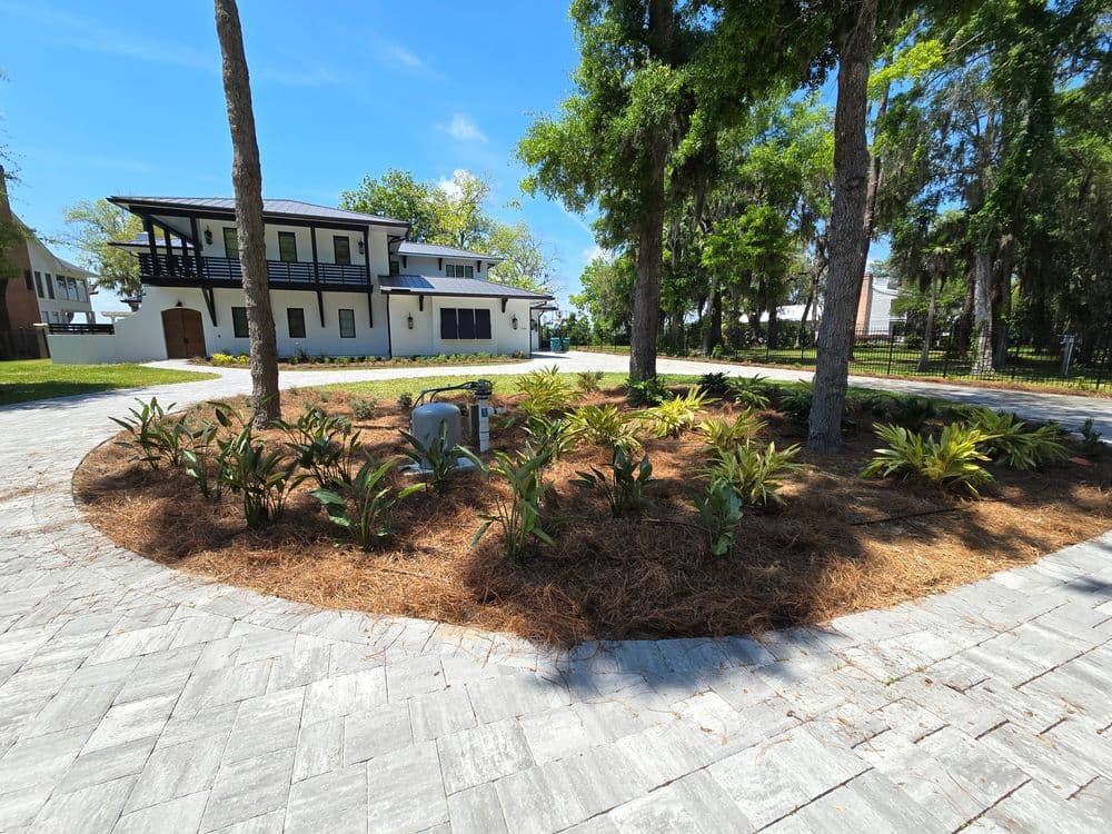 Modern home with a landscaped yard featuring trees and decorative plants. Blue sky above.